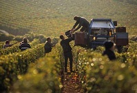 ������f֮����(gu��)ҹ��