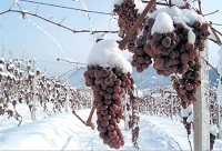 ��Ʋ��ɲ�֪��4�c(di��n)С֪�R(sh��)