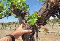 �������Ѿ��ǺþƆ᣿