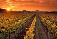 ��Մ������8̖(h��o)�ƽ�