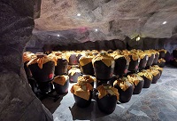 ʲô�ǽѲؾƸ�λ������֪���᣿